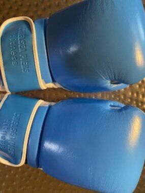 BRAND NEW BOXING GLOVES - 16OZ